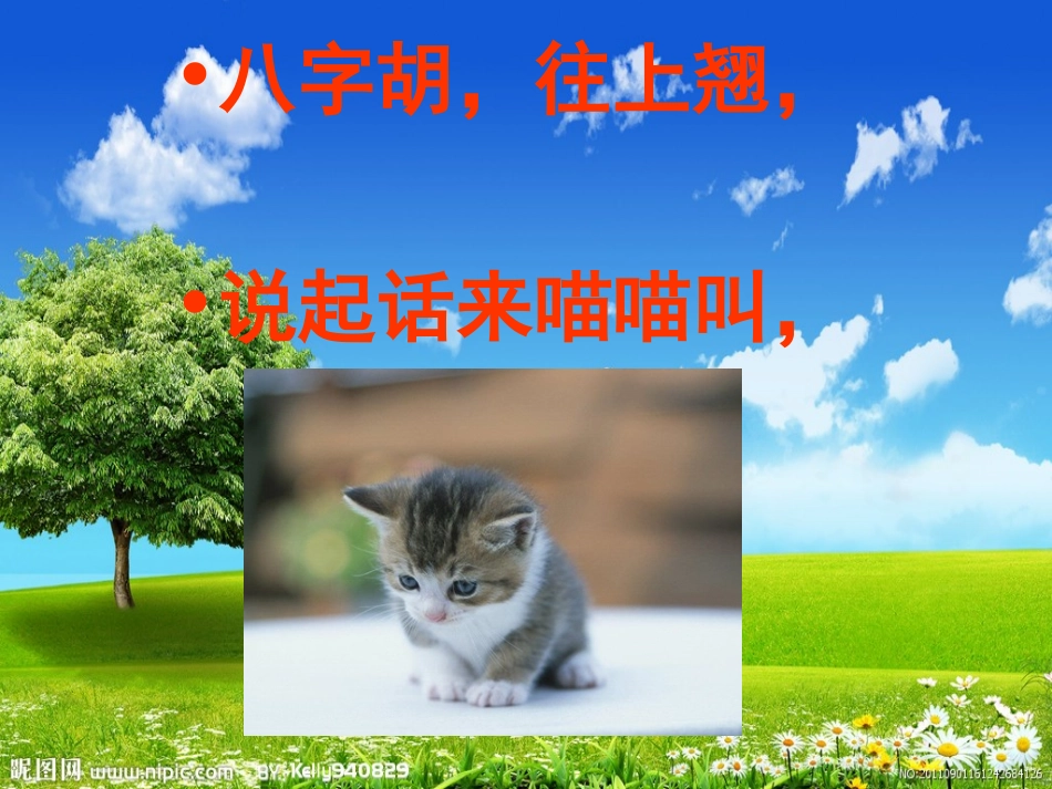 我和动物交朋友_第3页