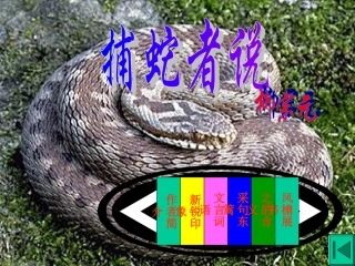 捕蛇者说 (2)