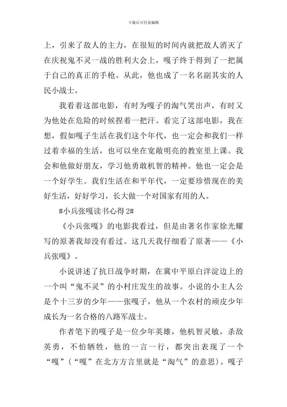 小兵张嘎的读书心得_第2页