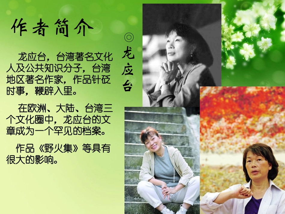 目送-读书报告会_第2页