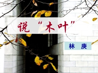 说“木叶”（上课）