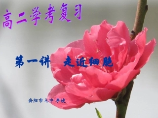 326校公开课走近细胞复习