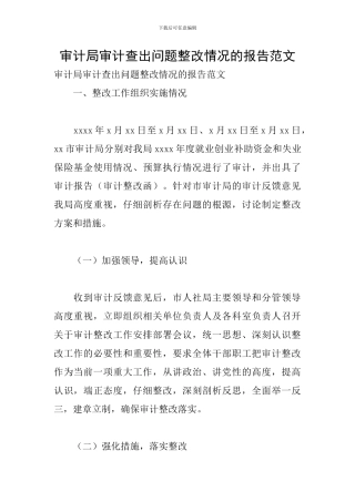 审计局审计查出问题整改情况的报告范文