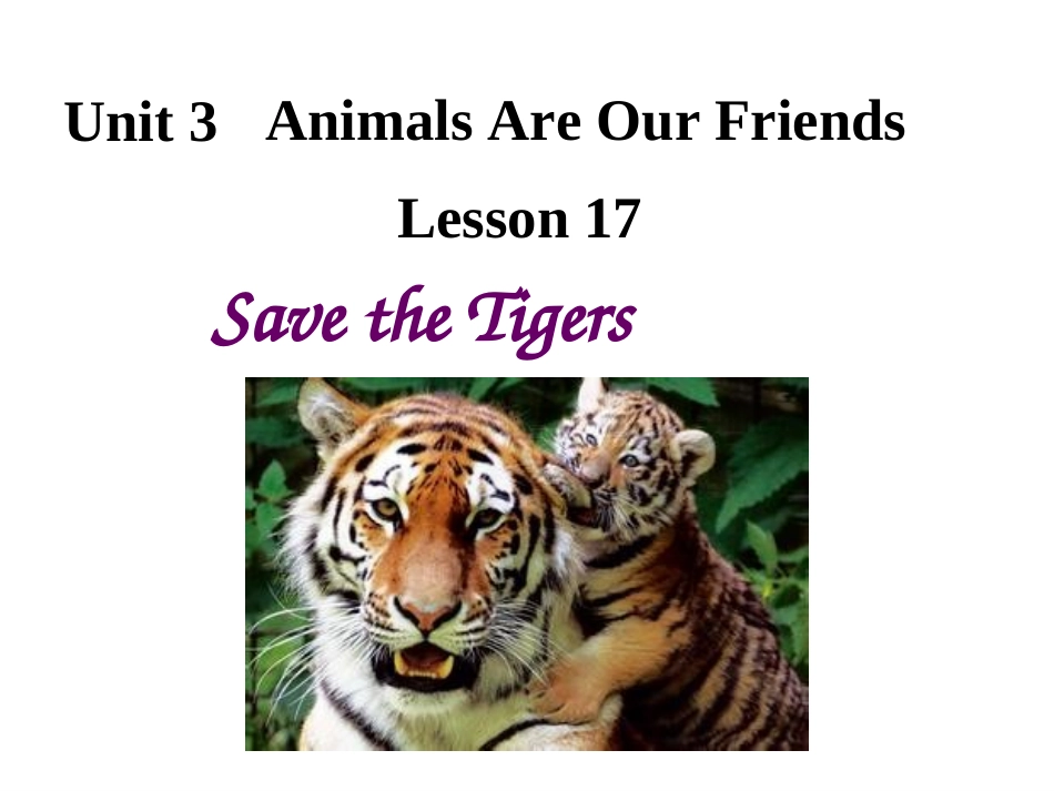 Unit3L17savethetigers（共32张PPT）_第1页