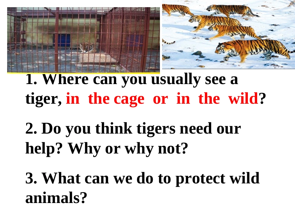 Unit3L17savethetigers（共32张PPT）_第3页