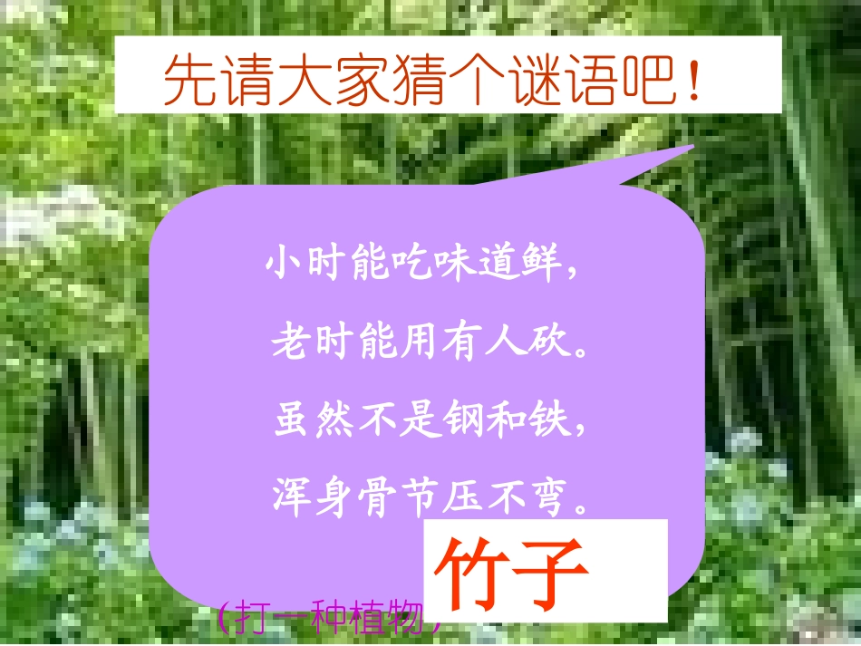 (语文S版)二年级语文下册课件_笋芽儿_第1页