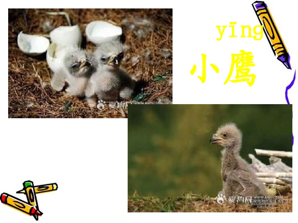 小鹰学飞 (2)_第2页