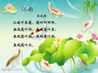 《荷花》PPT