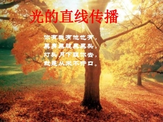 光沿直线传播
