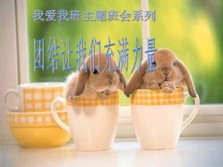 团结让我们充满力量