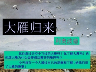 第14课《大雁归来》课件（新人教版八下）
