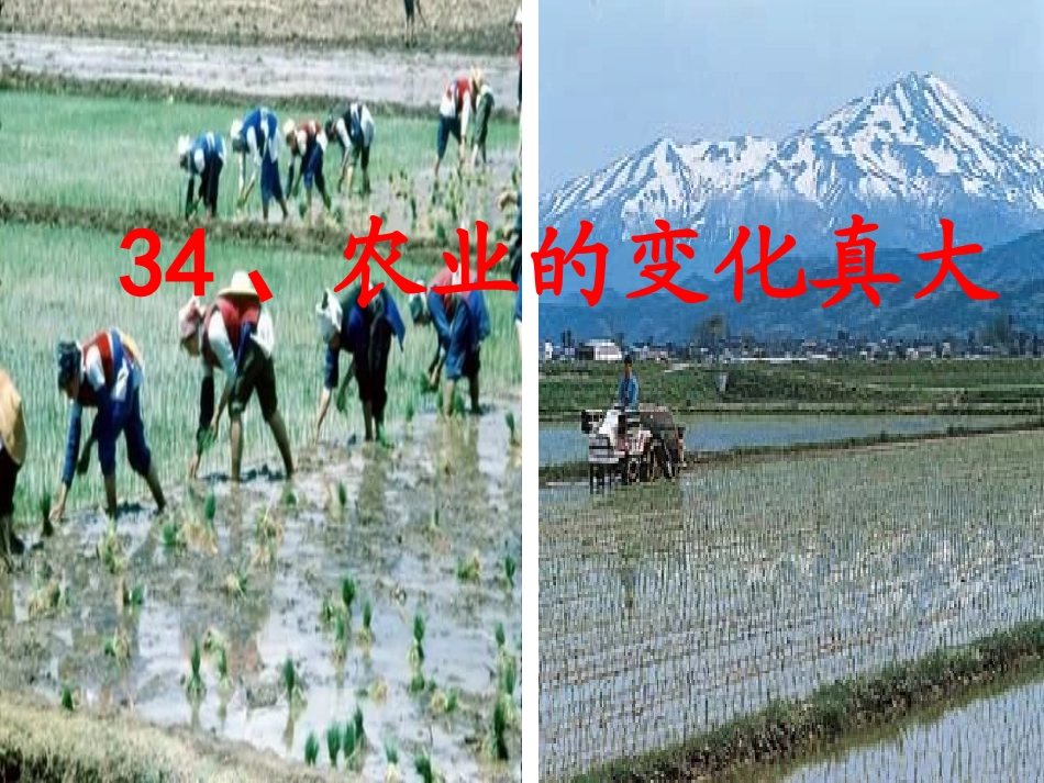 34、农业的变化真大_第1页
