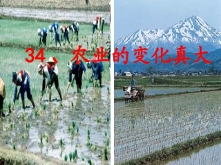 34、农业的变化真大