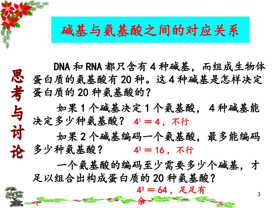 遗传信息的翻译_第3页