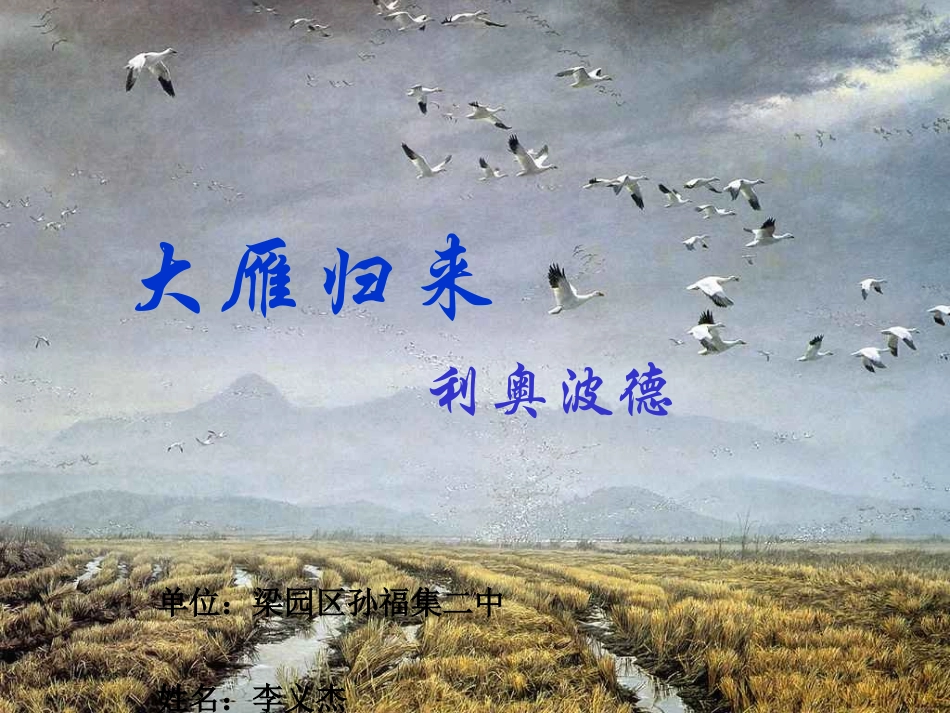大雁归来课件_第1页