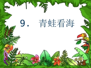 青蛙看海 (2)