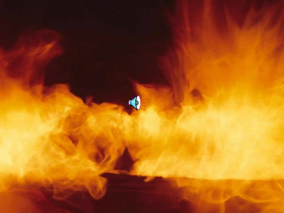 斑羚飞渡公开课课件_第2页