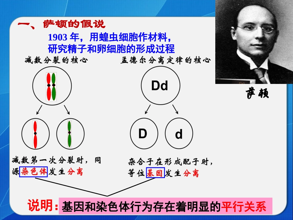 第二节基因在染色体上_第3页