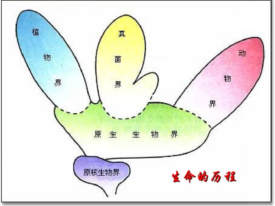 现代生物进化理论的主要内容_第2页