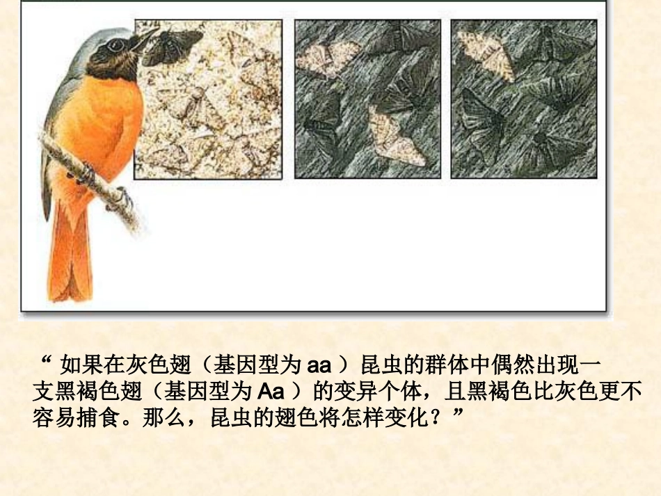 现代生物进化理论的主要内容_第3页