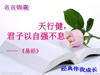 为了他的尊严3