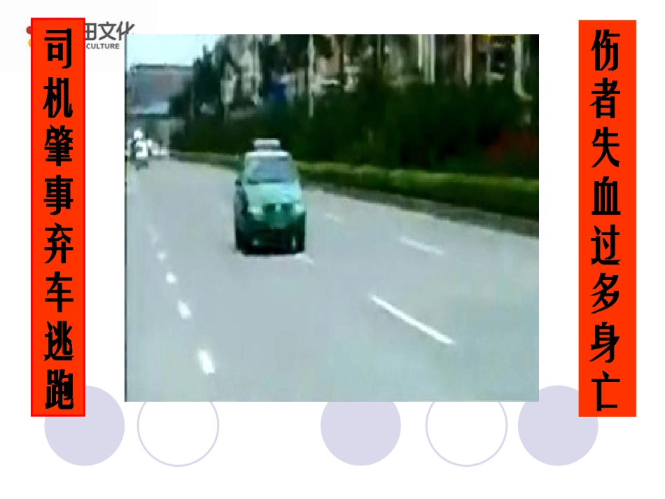 41流动的组织——血液_第1页