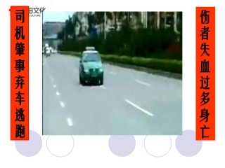 41流动的组织——血液