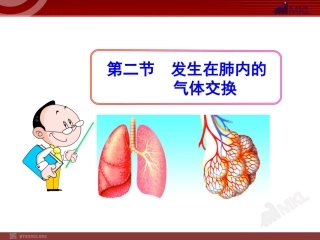 1682014初中生物多媒体教学课件：第3章第2节发生在肺内的气体交换（人教版七年级下册）
