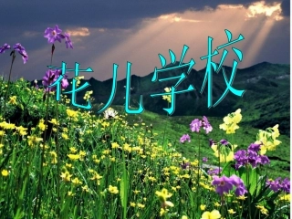 第八板块花儿学校