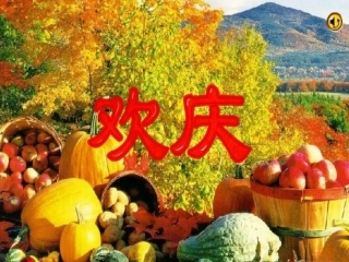 欢庆（韩文娟）