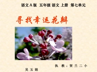 寻找幸运花瓣吴