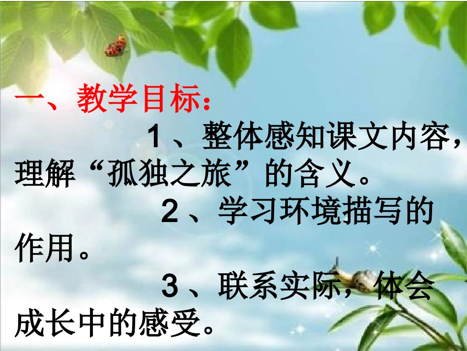 孤独之旅课件_第2页