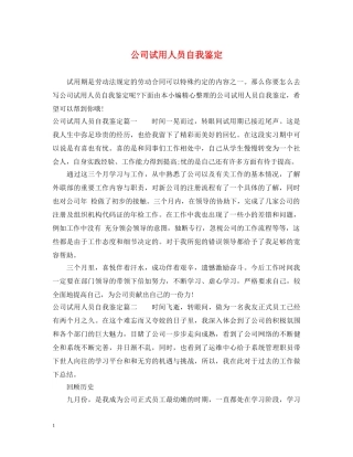 公司试用人员自我鉴定 