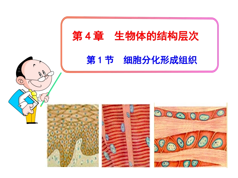 41细胞分化形成组织_第1页