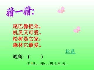《松鼠和松果》课件