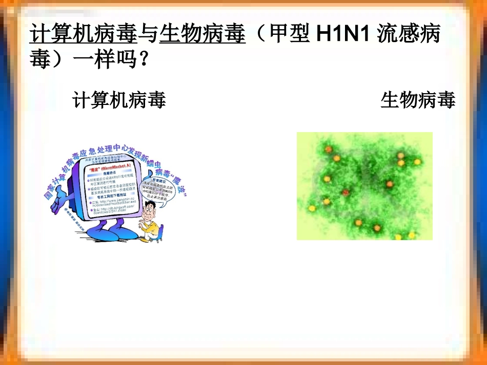 计算机病毒课件_第3页