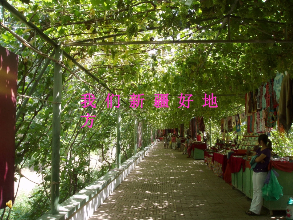 音乐课件《青春舞曲》 (2)_第3页