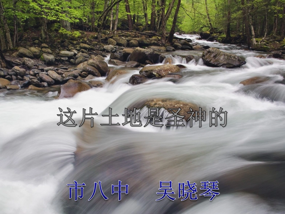 这片土地是神圣的（）_第1页