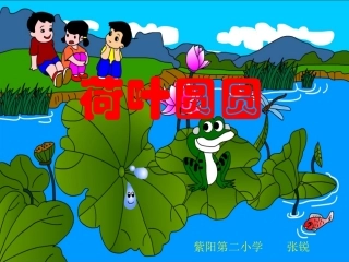 紫阳二小张锐