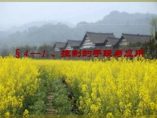 41控制的手段与应用