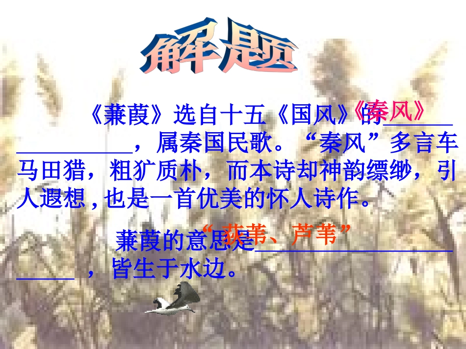 《蒹葭》课件3_第2页