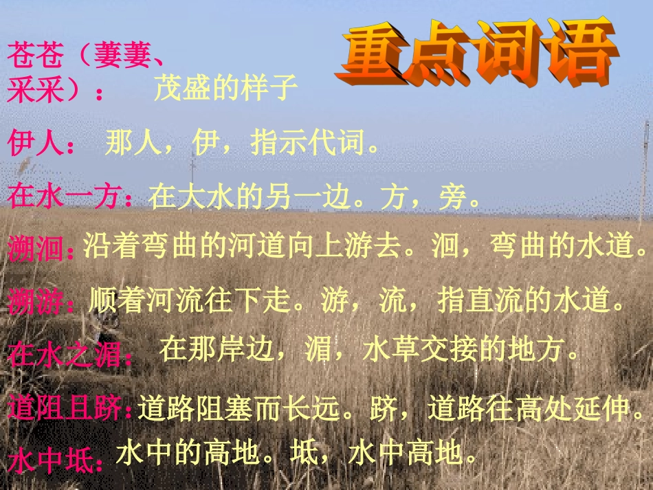 《蒹葭》课件3_第3页