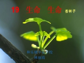 生命生命 (5)