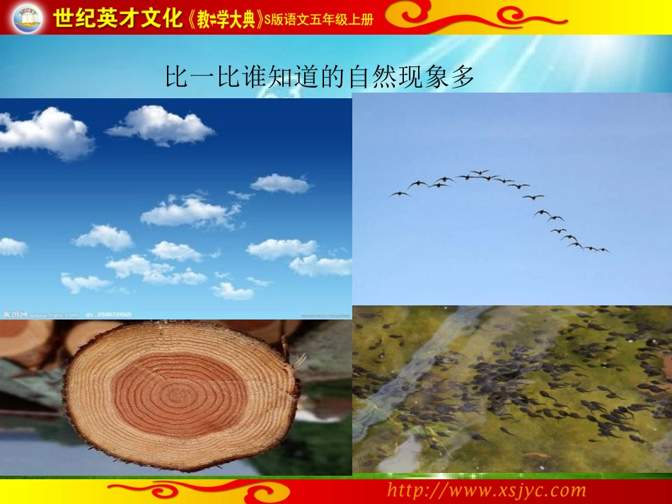 8大自然的语言_第3页