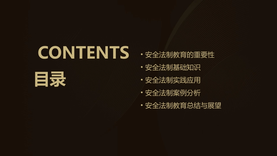 安全法制主题班会课件_第2页