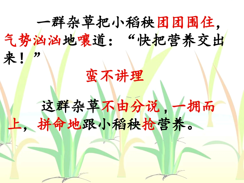 18小稻秧脱险记第二课时_第2页