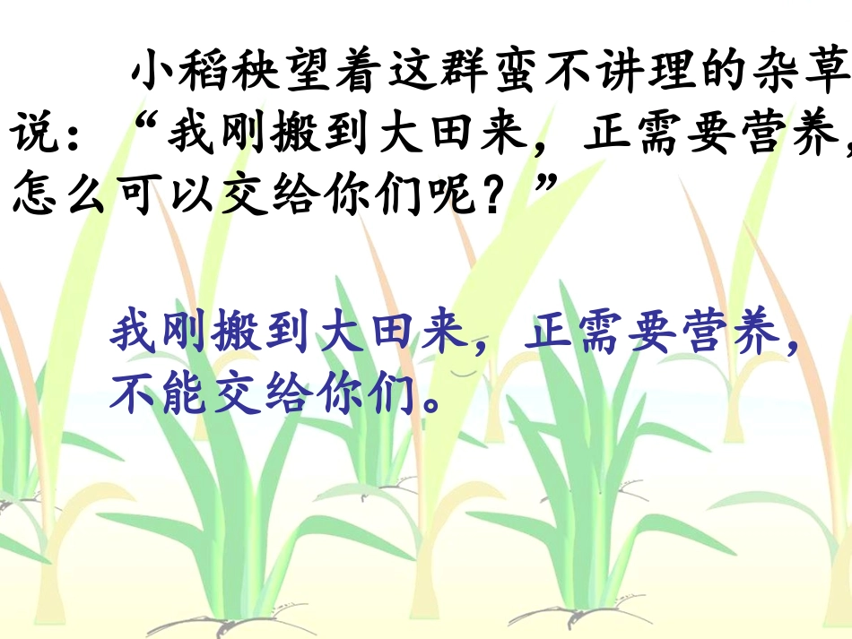 18小稻秧脱险记第二课时_第3页