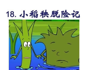 18小稻秧脱险记第二课时