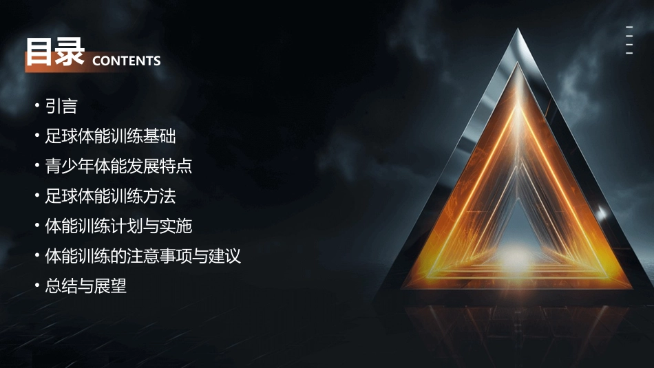 青少年足球体能训练(定稿)课件_第2页