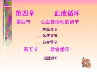 血液循环(4)